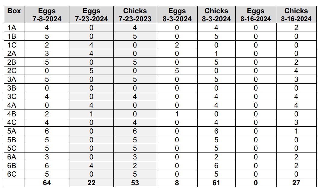 2024 Purple Martin census